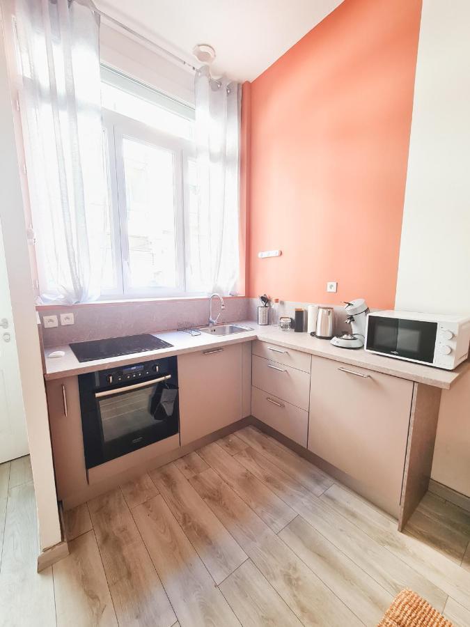 Le Zola - Appartement Spacieux - Гренобль Экстерьер фото